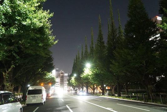 都市の森と熱帯夜〜神宮外苑から、街へ